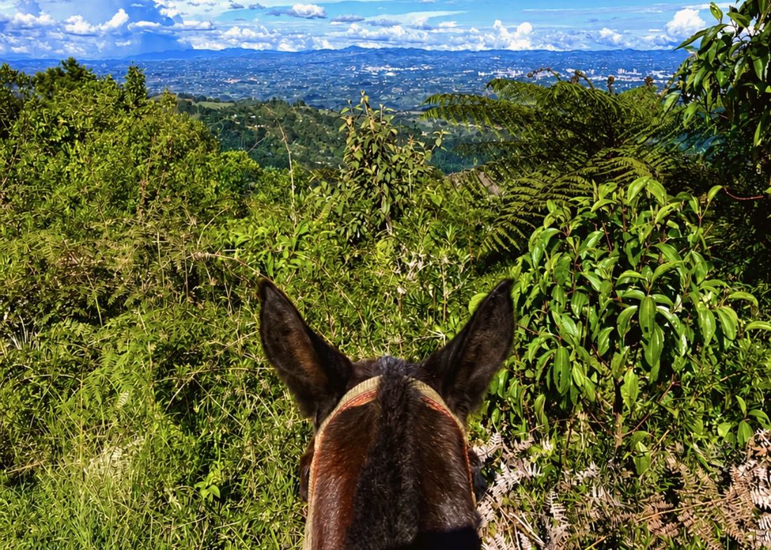 Cabalgata